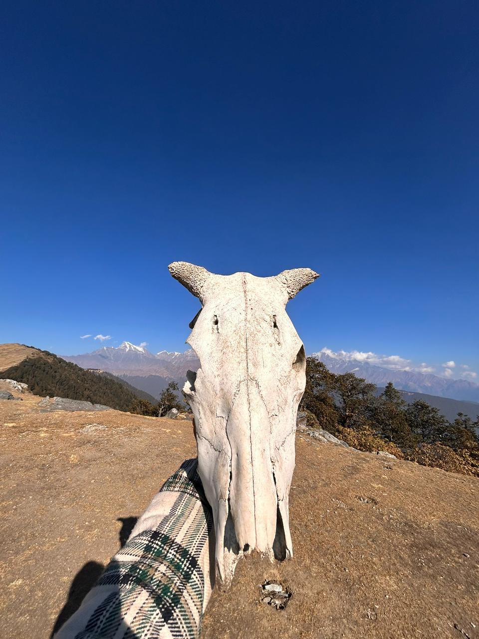 Himalayan Winter