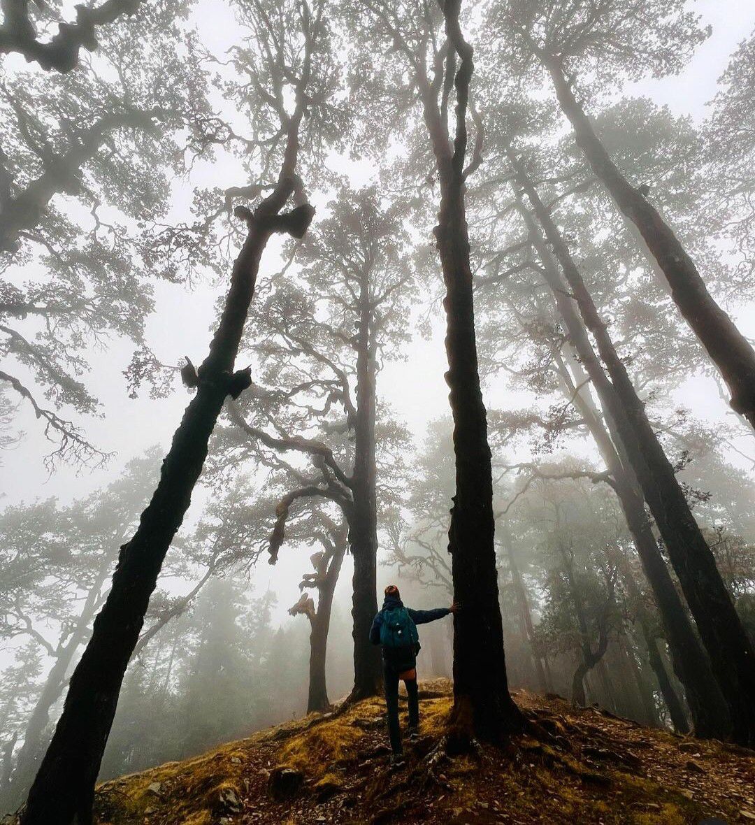Kuari Trail